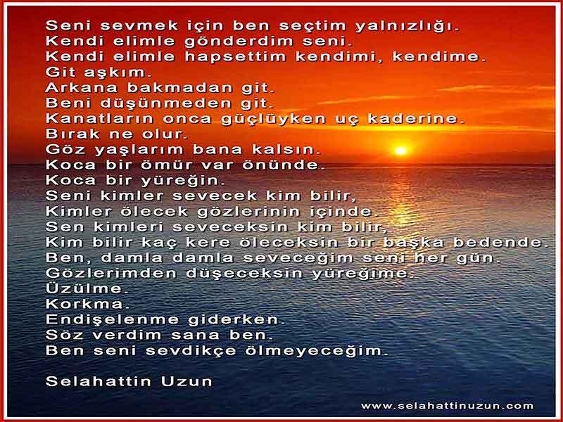 Ben Seni Sevdikçe Ölmeyeceğim - Selahattin Uzun